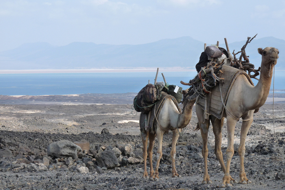 Djibouti