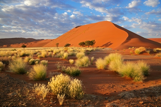 Namibia