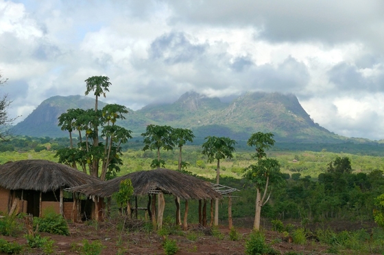 Zambia