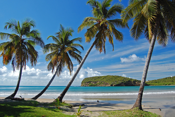 Saint-Vincent-et-les-Grenadines