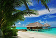 Maldive