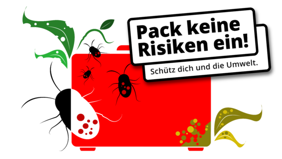 www.riskiers-nicht.ch