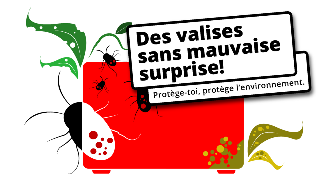 Importation de marchandises en Suisse