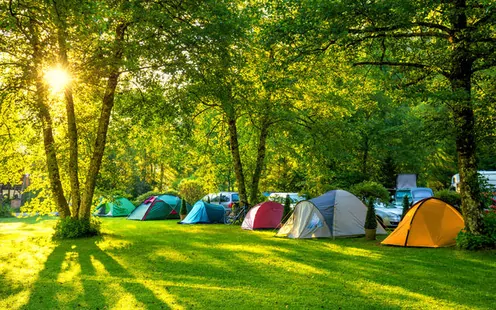 Bagnino/a per campeggio con glamping e piscina pubblica a Olivone (50-100%)