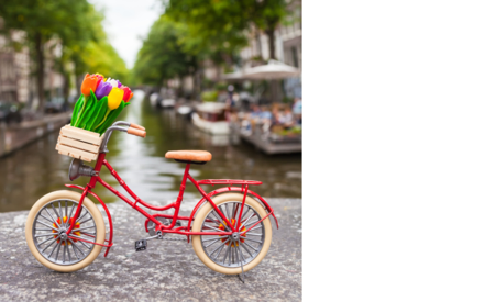 Come fare la manutenzione della bicicletta?