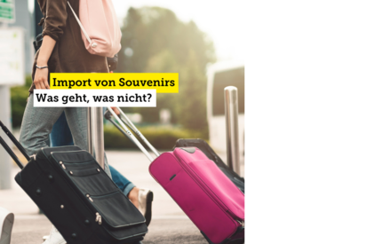 Einfuhr von Souvenirs und lokalen Produkten in die Schweiz