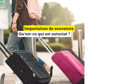 Importation de marchandises en Suisse