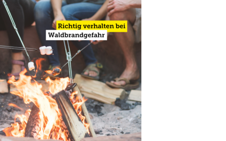 Richtig verhalten bei Waldbrandgefahr