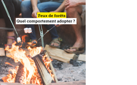 Feux de forêts - quel comportement adopter ?