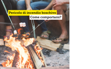 Guida agli incendi boschivi