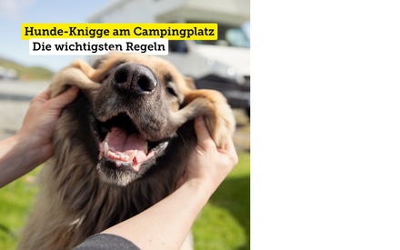 TCS Camping Hunde-Knigge