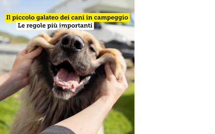 Il piccolo galateo dei cani del TCS Camping