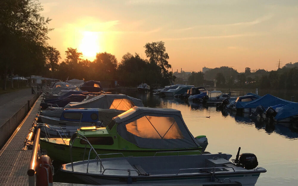 Sonnenaufgang an der Aare