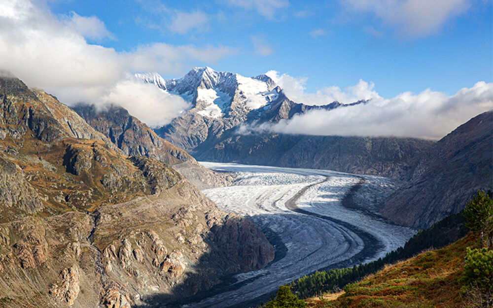 Alpi svizzere Jungfrau-Aletsch