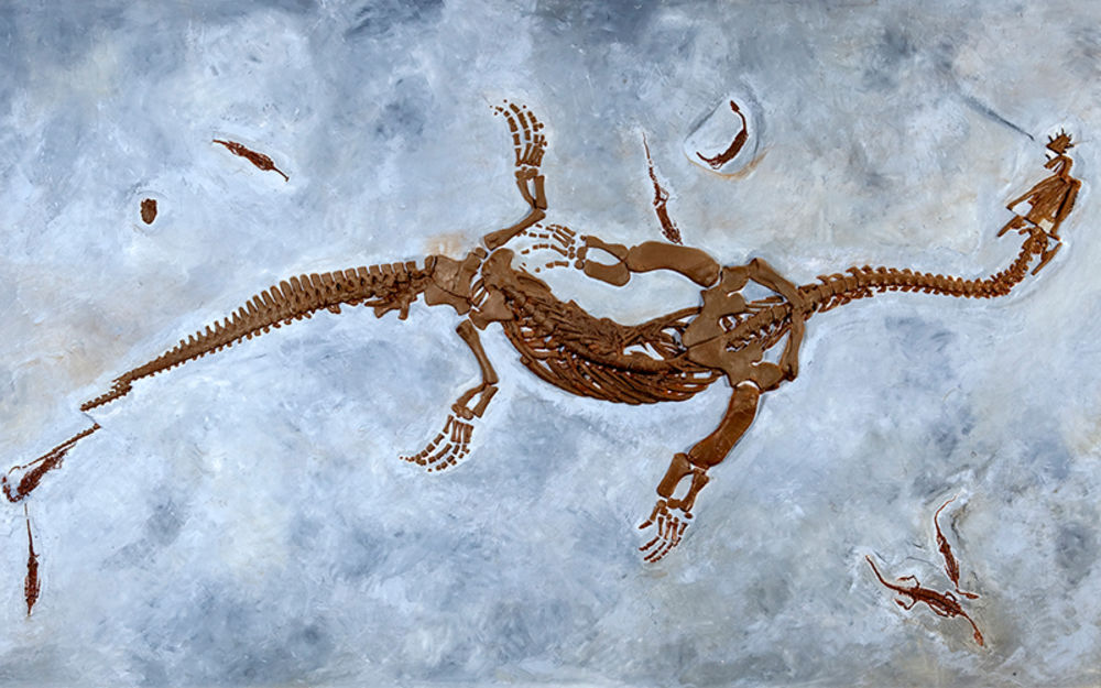 Fossili del rettile marino Ceresiosaurus calcagnii  -©Jacques Perler, OTRMBC