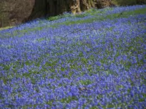 Fahrt ins Blaue