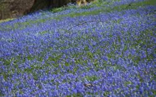 Fahrt ins Blaue