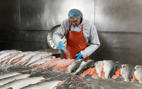 Lachsräucherei Dyhrberg - AUSGEBUCHT