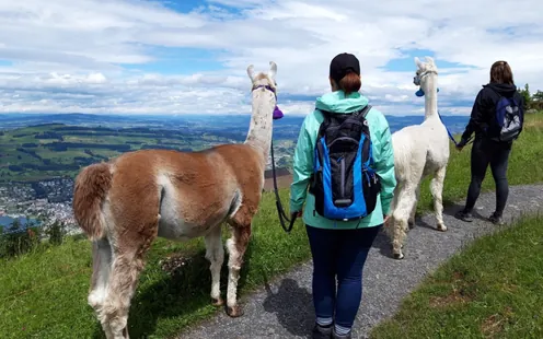 Lama Trekking &amp; Familienplausch