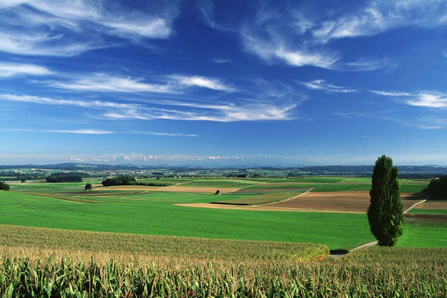 Bern-Seeland