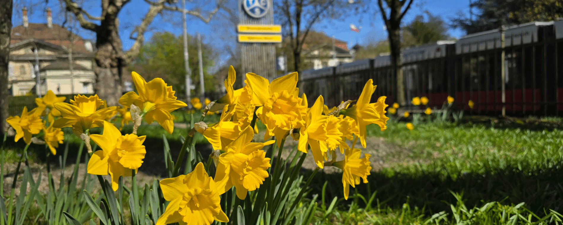 Osterpause beim TCS Bern