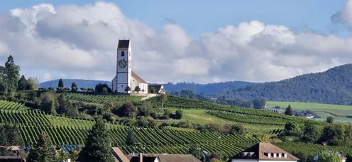 Herbstausflug 2024 Besuch der Hallauer Weinberge