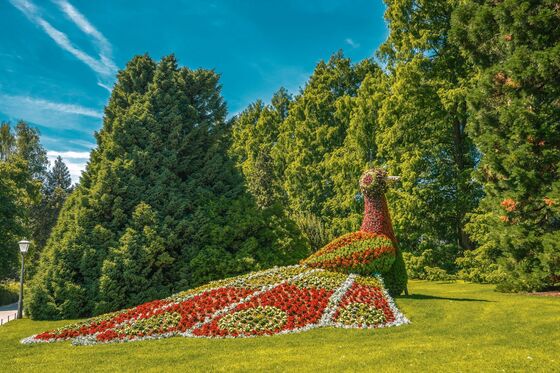 Insel Mainau