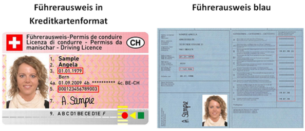 Internationaler F?Hrerausweis Aargau - Shirley Elwyn