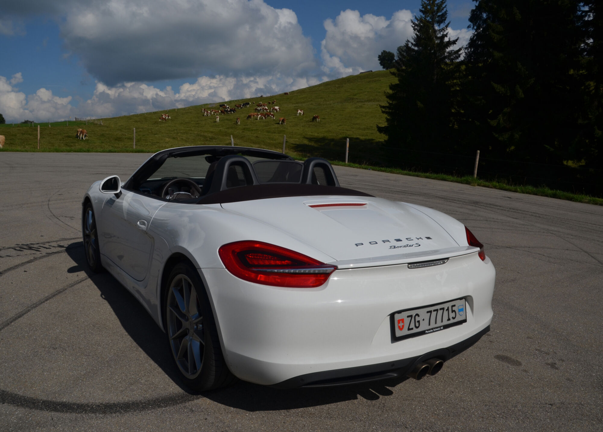 porsche batteria carta conducente scaricare