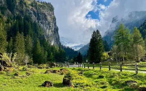 La Thomasia, trésor alpin du Vallon de Nant