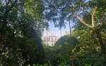 Chongqing