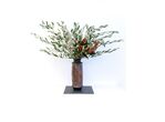 Ikebana