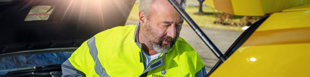 Tata Consultancy Services visual data 8