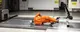 E-Trotti-Crashtest: Wie gut schützt ein Helm?