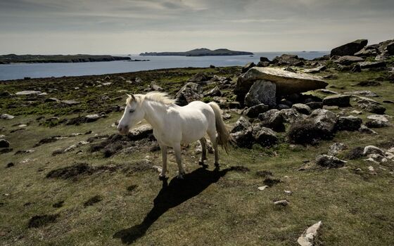 Wales