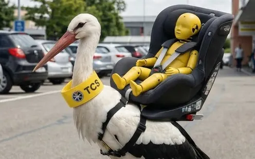 TCS Test de cigognes