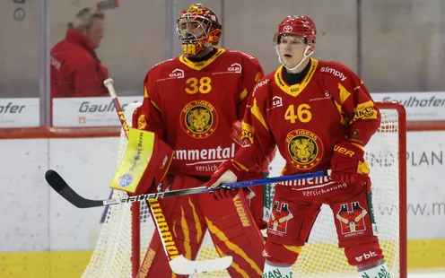 Sicher gehalten mit dem SCL Tigers Stockhandschuh