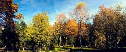 Camping de la Forêt