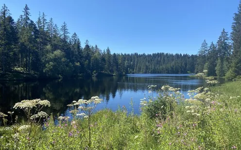 Balade moto depuis Genève vers Les Reusilles
