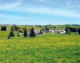 Montfaucon