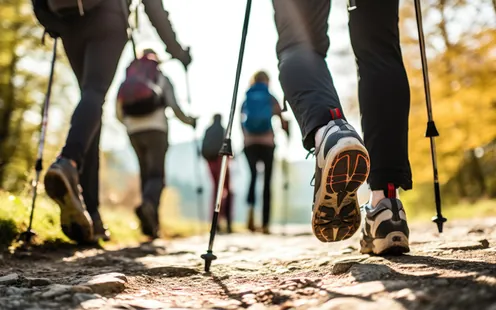 Sortie Nordic Walking &amp; VTT