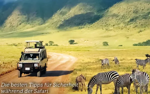 Gesund reisen in Afrika 