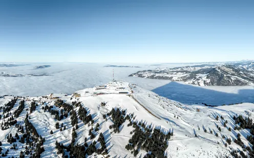 Tagesexkursion Goldau