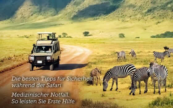 Gesundheitsführer Camping und Gesundheit