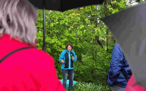 Abend-Kräuterwanderung