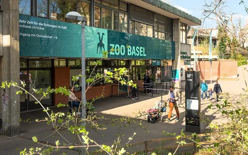 Zoo Basel Besuch mit Führung