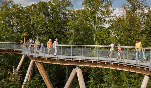 Vergünstigt auf den Baumwipfelpfad