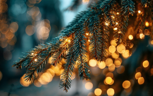 Öffnungszeiten während den Feiertagen