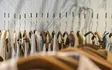 Modeschau bei Huber Mode