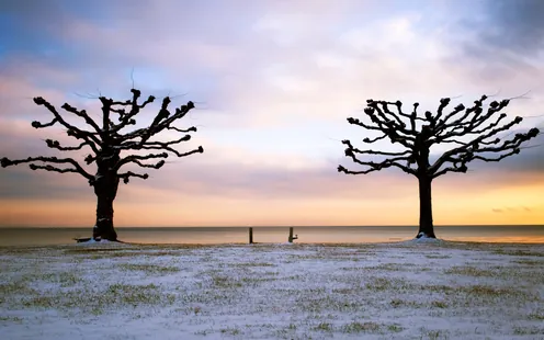 Über die Sektion Thurgau